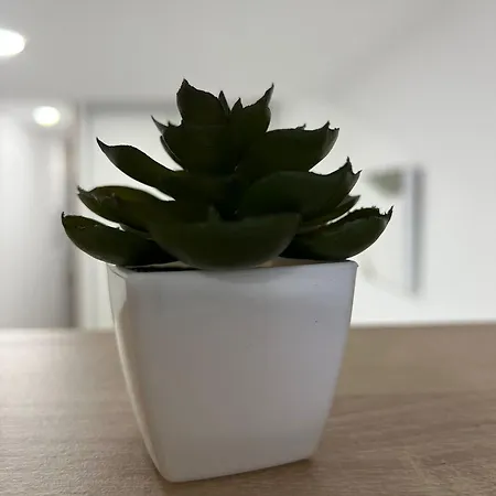 아파트 White House 카스텔론델라플라나